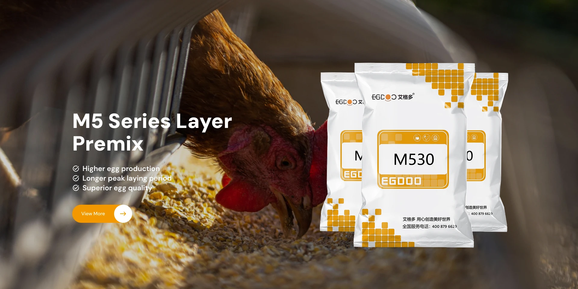 layer premix feed
