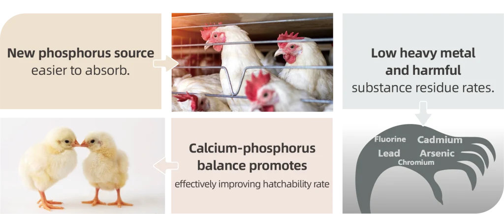 Broiler Breeder Premix